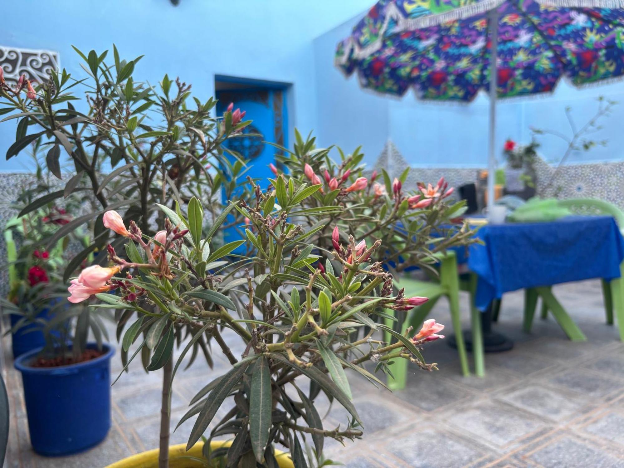 Casa Morisca Villa Sidi Ifni Exterior foto